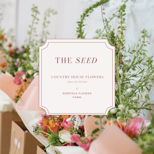 Country House Flowers x The Seed
